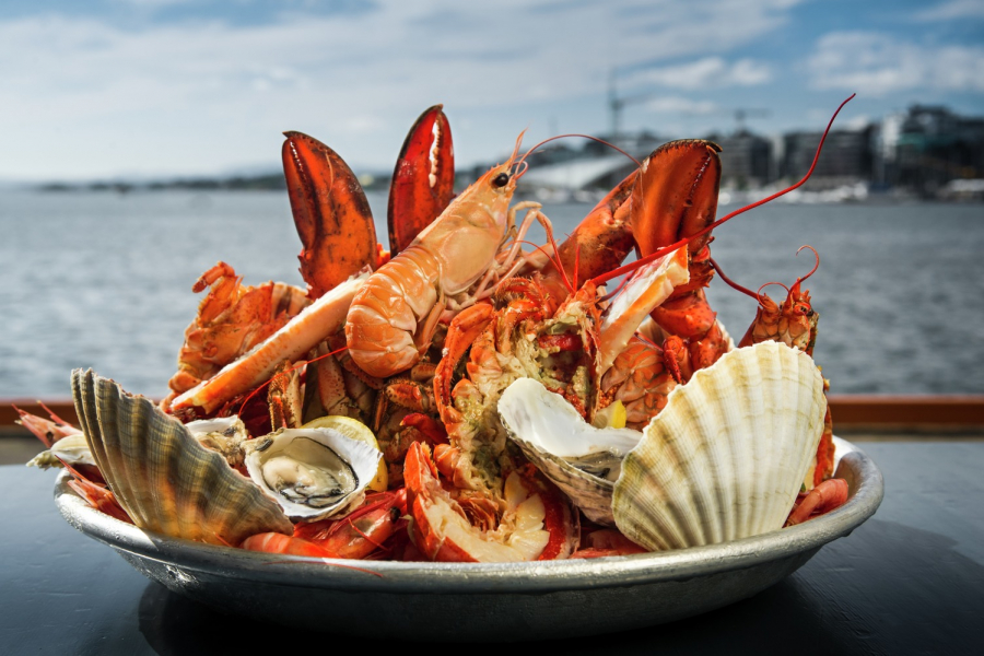 NORDICA fish&seafood – лучшая икра, рыба и морепродукты