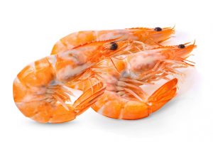 Креветка королівська з головою 41-50 шт/кг, 20% глазурь, 5 кг упаковка Креветка королівська з головою 41-50 шт/кг, 20% глазурь, 5 кг упаковка